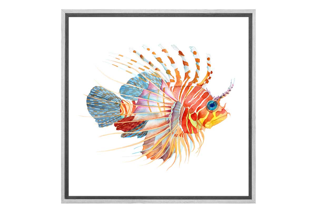 Tiger Fish Watercolour | Wall Art Print