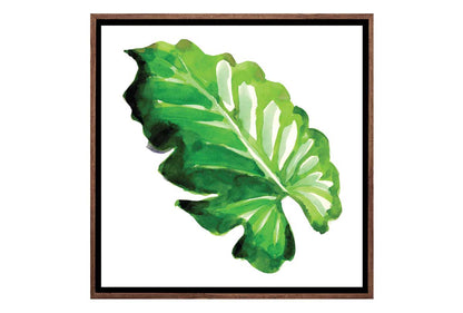 Tropical Leaf | Wall Art Print