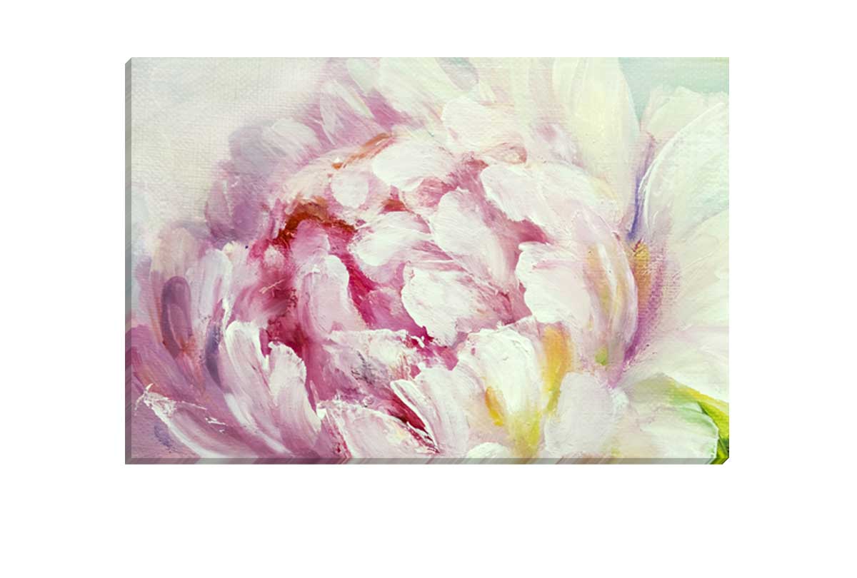 Pink Peony Bloom 2 | Canvas Wall Art Print