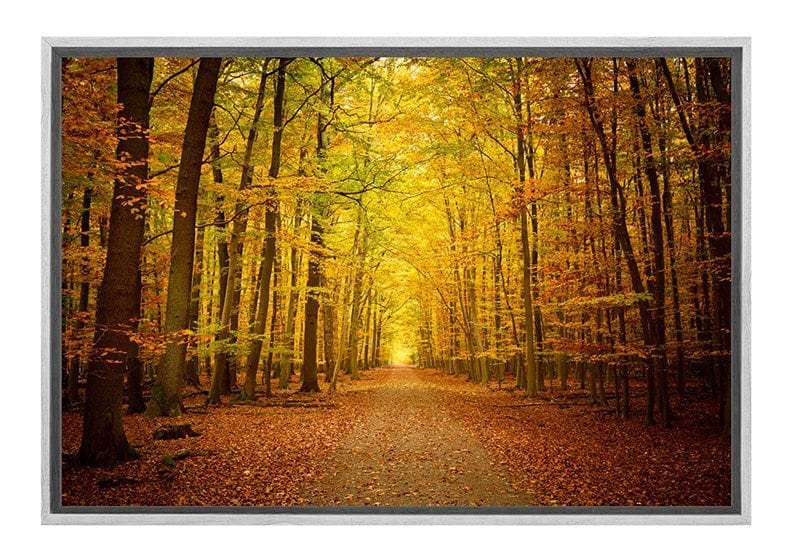 Autumn Forest 5 Canvas Wall Art Print: Fall's Natural Splendor – Final ...