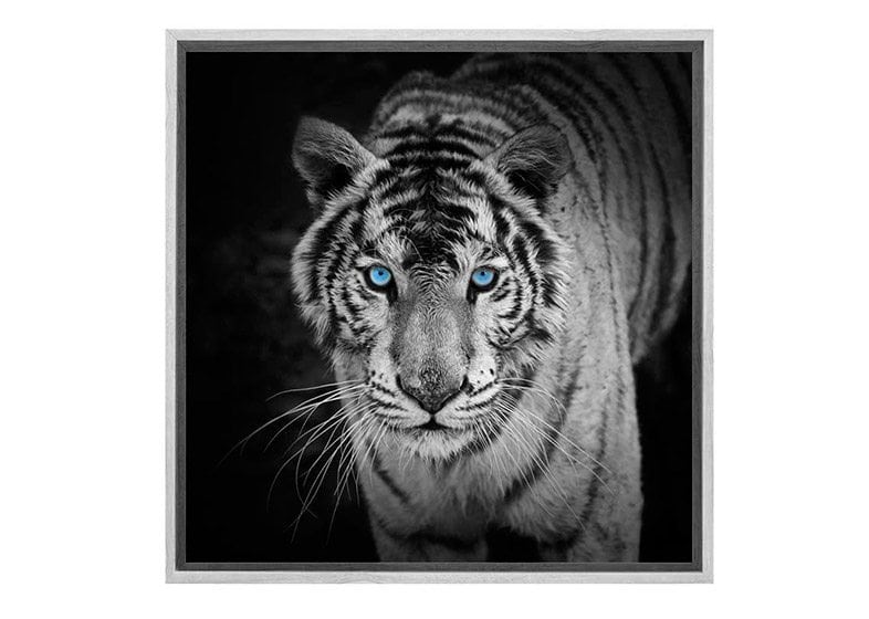 Elevate Your Space with White Tiger 2 Canvas Art Print – Final Touch Decor