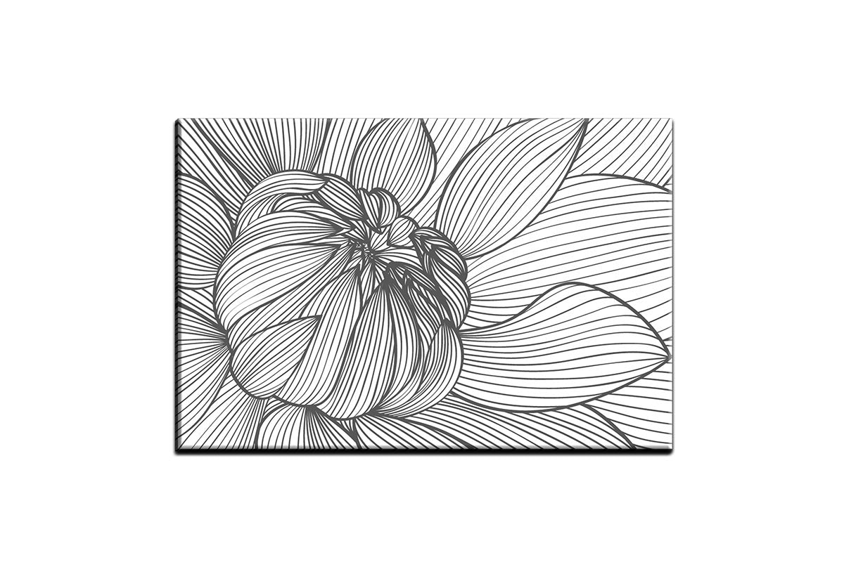 Free Vector line art and hand drawing flower art black and white flat design  simple flower 22804330 Vector Art at Vecteezy