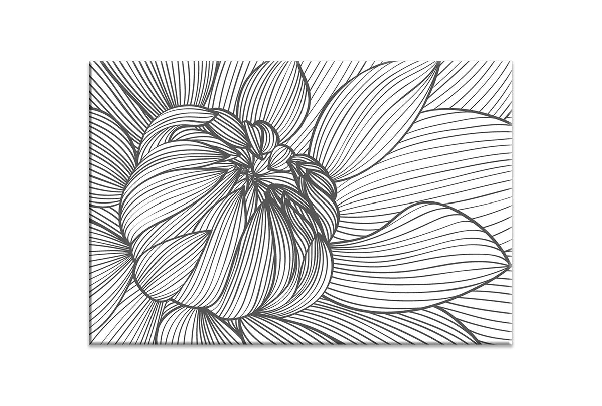 daisy flower branch vector line art, daisy drawing, daisy drawing outline.  - MasterBundles