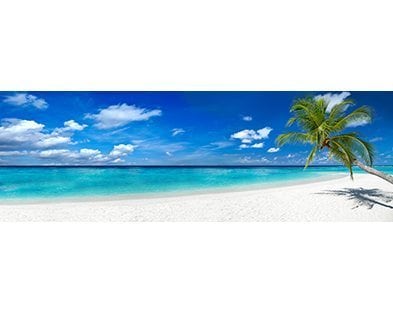 421 tropical beach panorama original