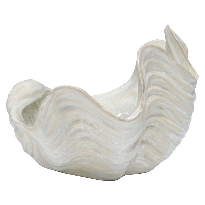 clam shell ceramic 2