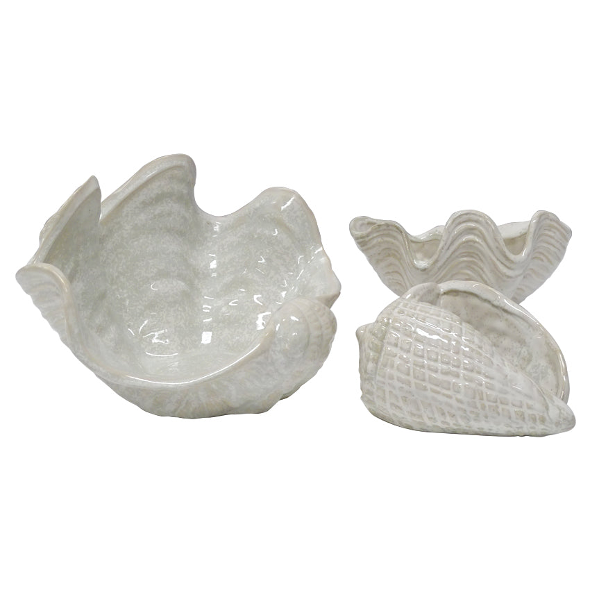 clam shell ceramic 3