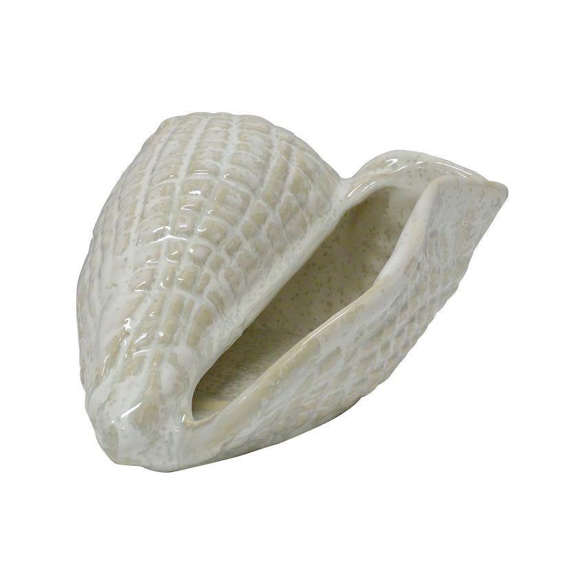 cowrie ceramic white 2