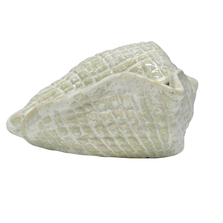 cowrie ceramic white