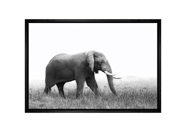 Decor Space with Wondering Elephant Canvas Wall Art Prints – Final ...